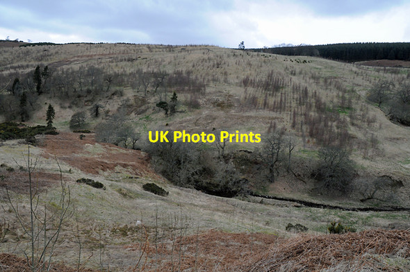 Photo 6"x4" Water of May Path of Condie c2008