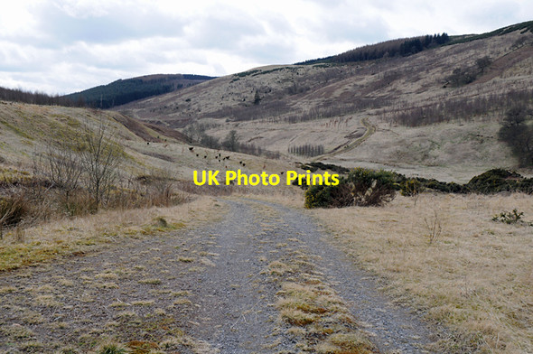 Photo 6"x4" Track to Clow Bridge Path of Condie c2008