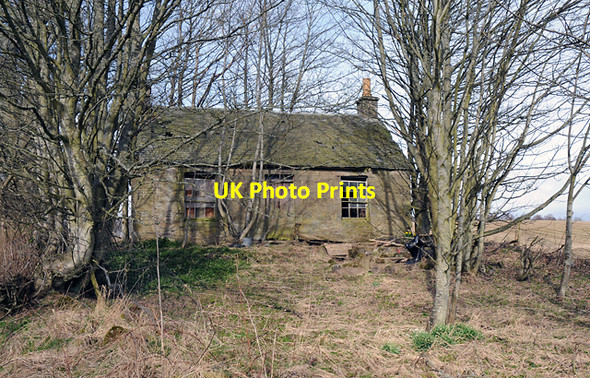 Photo 6"x4" Derelict Cottage Braegrum c2008