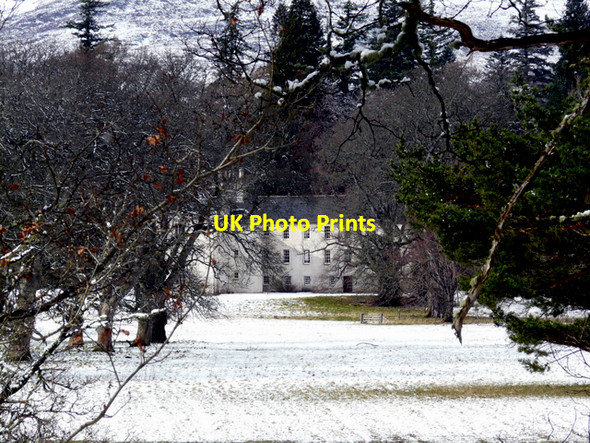 Photo 6"x4" Doune of Rothiemurchus Doune\/NH8809 c2008