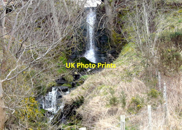 Photo 6"x4" Opposite the RSPB car park Pitcalnie c2008