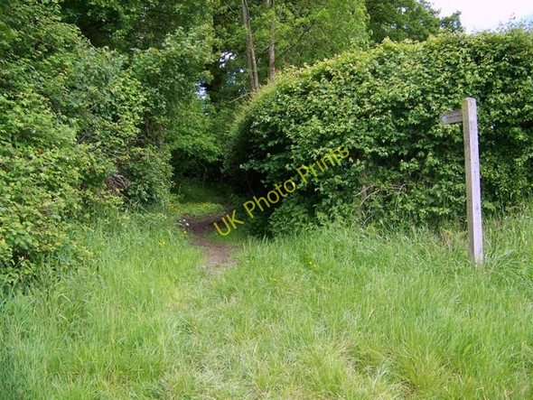 Photo 6"x4" Bridleway near Lickfold Dial Green c2009
