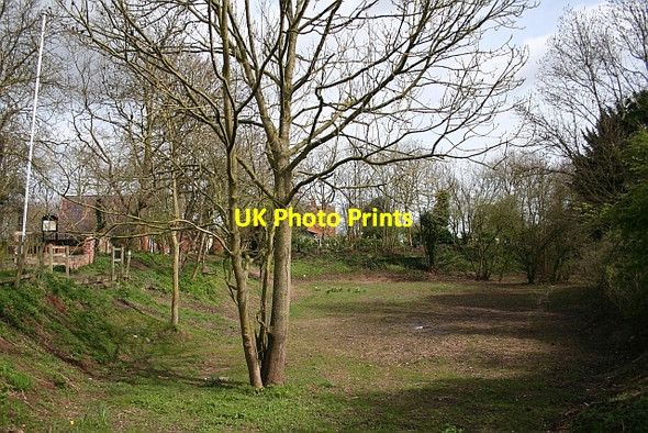 Photo 6"x4" Chaceley Village Green Chaceley c2008
