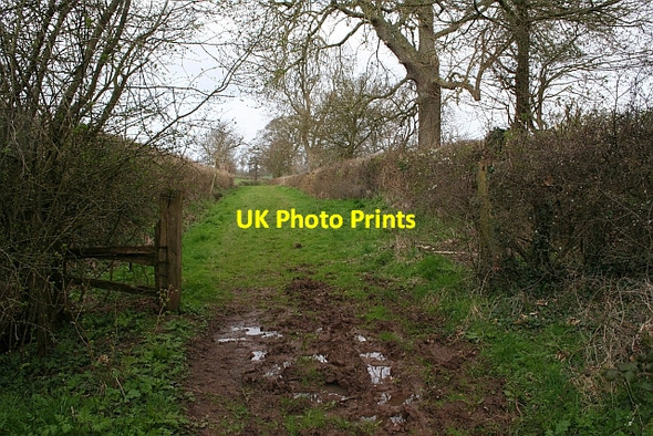 Photo 6"x4" Bridleway to Swinley Court Chaceley c2008