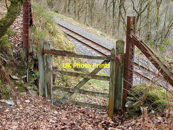Photo 6"x4" Old crossing gate at Derwen Devil's Bridge\/Pontarfynach c2008