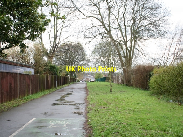 Photo 6"x4" Bridle Road: bridleway Epsom c2008