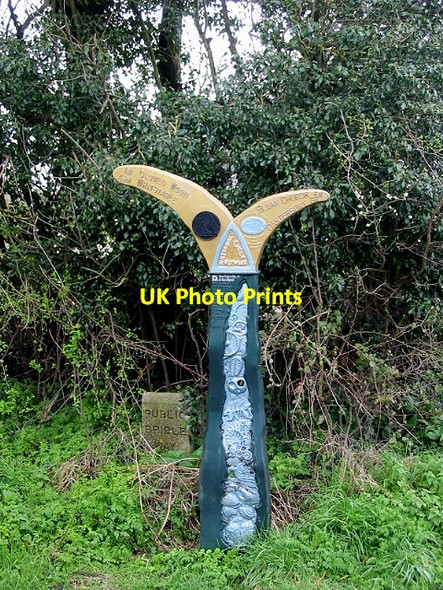 Photo 6"x4" National cycle network 1 sign post on the crab and winkle way Blean c2008