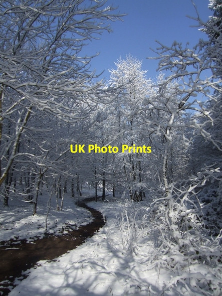 Photo 6"x4" Footpath in the country park Bushbury\/SJ9203 c2008