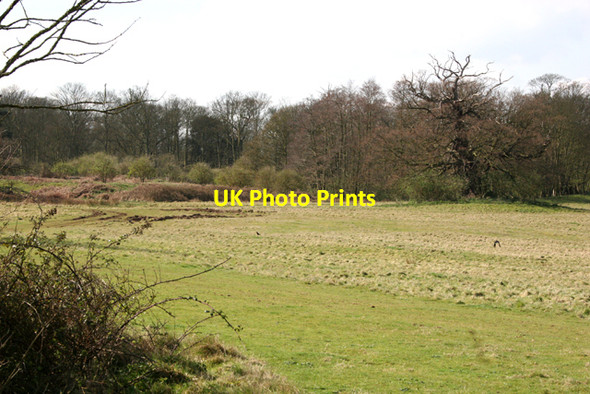 Photo 6"x4" View from the layby St Osyth c2008