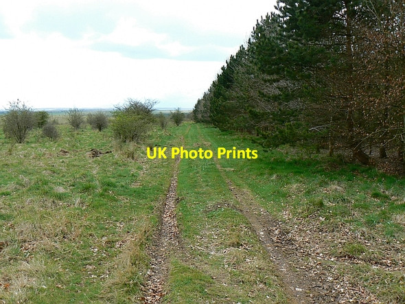 Photo 6"x4" Between Brouncker's Down and Cheverell Down, Wiltshire Imber c2008