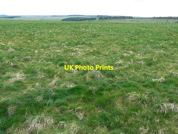 Photo 6"x4" Cheverell Down, Wiltshire Imber c2008