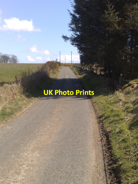 Photo 6"x4" Road to Hill of Middleton Farm Sittyton c2008