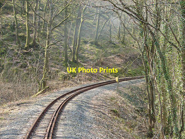 Photo 6"x4" Vale of Rheidol Railway in Coed Lluest Aberffrwd\/SN6878 c2008