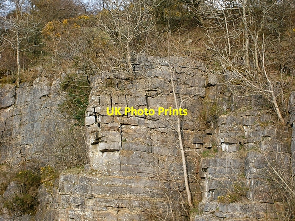Photo 6"x4" Hewer Hill Quarry, old worked face Hewer Hill c2008