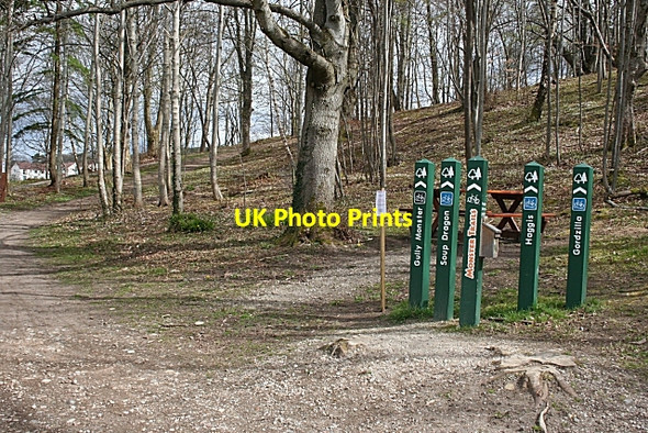 Photo 6"x4" Monster Trails Start Here Fochabers c2008