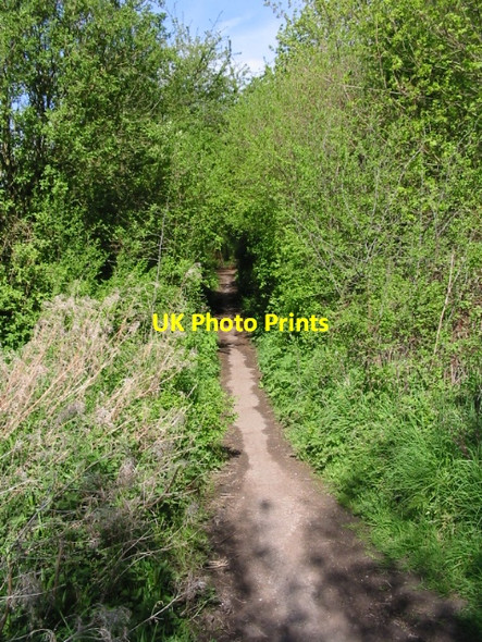 Photo 6"x4" Footpath and Stour Valley Walk to the W of the A2 Canterbury\/TR1457 c2008