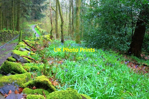 Photo 6"x4" Track to Bouth Fall Stile Bouth c2008