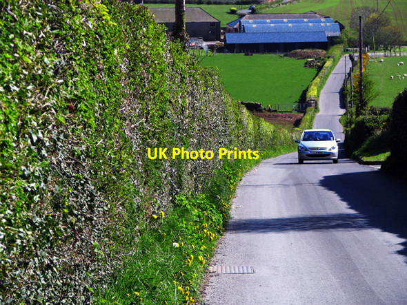 Photo 6"x4" The Moat Road near Scrabo Newtownards c2008