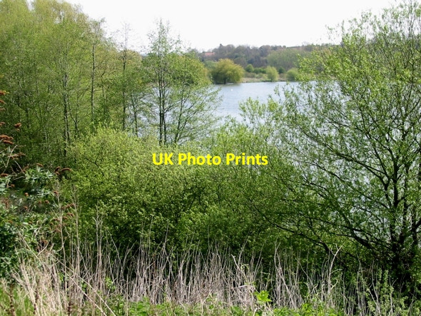 Photo 6"x4" Lake near Howfield Farm Chartham Hatch c2008