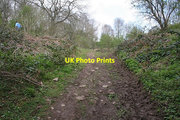 Photo 6"x4" Southern Gateway into Midsummer Hill Iron-Age Fort Hollybush\/SO7636 c2008