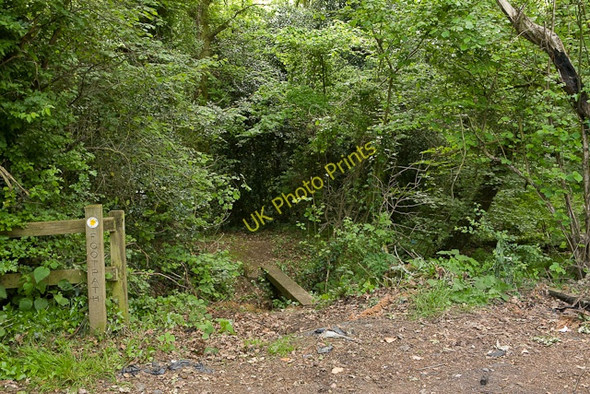 Photo 6"x4" Footpath off Chancellors Lane Durley\/SU5116 c2009