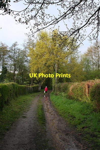 Photo 6"x4" Watery Lane Upper Welland c2008