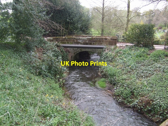 Photo 6"x4" Coal Brook downstream of Peatswood Lodge Market Drayton c2008