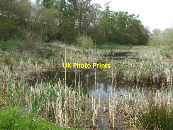 Photo 6"x4" Pool beside the River Tern Market Drayton c2008