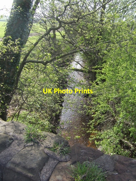 Photo 6"x4" River Tern downstream of A53 bridge Blackbrook\/SJ7639 c2008