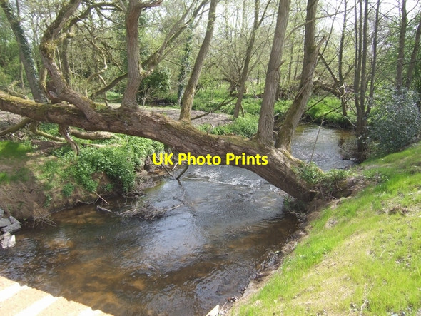 Photo 6"x4" River Tern downstream of Norton in Hales Norton in Hales c2008