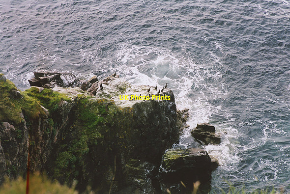 Photo 6"x4" Sea cliffs, Caolas an Scarp Beitearsaig c2004
