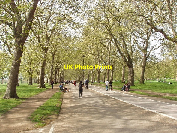 Photo 6"x4" Broad Walk in Hyde Park, by Park Lane Westminster c2008