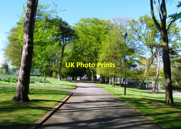 Photo 6"x4" In Ward Park, Bangor Bangor\/J5081 c2008