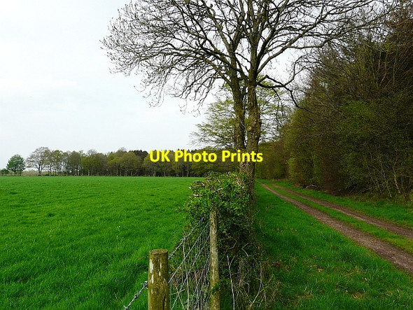 Photo 6"x4" Bridleway from Beckside to the Old Schoolhouse Netherby\/NY3971 c2008