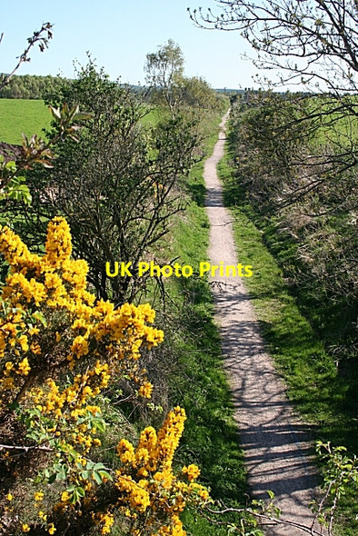 Photo 6"x4" The Dava Way Forres c2008