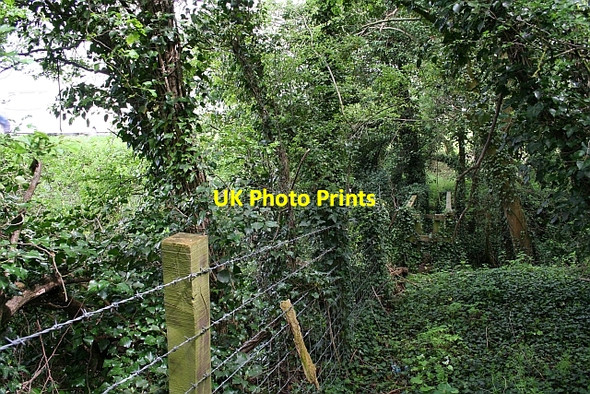 Photo 6"x4" Overgrown footbridge by the M50 Buckbury c2008