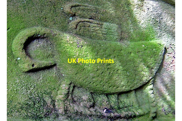 Photo 6"x4" Kilmahog St Chug's graveyard: Gravestone with pelican Kilmahog c2008