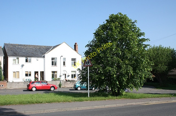 Photo 6"x4" Converted chapel and lime tree, Poolbrook Great Malvern c2009