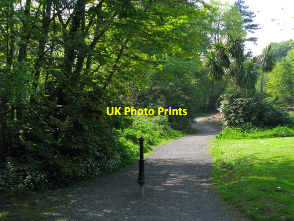 Photo 6"x4" Path, Carnfunnock Country Park [1] Ballygalley c2008