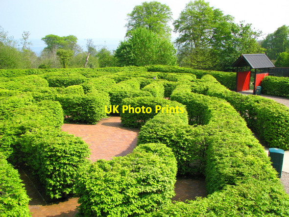 Photo 6"x4" The 'Northern Ireland Maze', Carnfunnock Country Park Ballygalley c2008