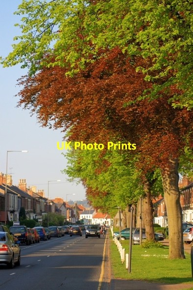 Photo 6"x4" South Parade Northallerton c2008