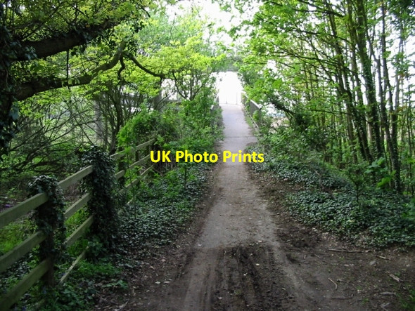 Photo 6"x4" Path through the woods to footbridge over the M20 motorway Ashford\/TR0042 c2008