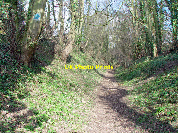 Photo 6"x4" Oldgate (Track), north of Skidby Bentley\/TA0135 c2008