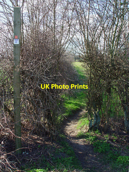 Photo 6"x4" The Beverley 20 meets the road Walkington c2008