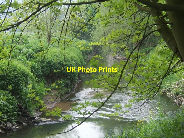 Photo 6"x4" River Stour behind Kinver High Street Kinver c2008