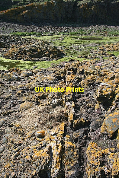 Photo 6"x4" Dyke in Conglomerate Catterline c2008