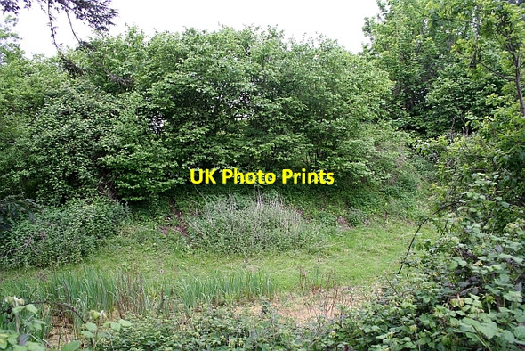 Photo 6"x4" The moat of Hanley Castle Church End\/SO8341 c2008