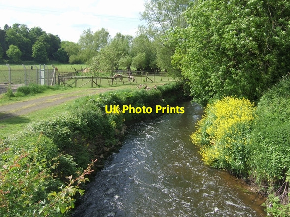 Photo 6"x4" River Stour downstream of Wolverley Bridge Drakelow c2008