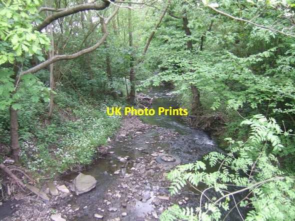 Photo 6"x4" River Stour downstream of Hayseech Halesowen c2008