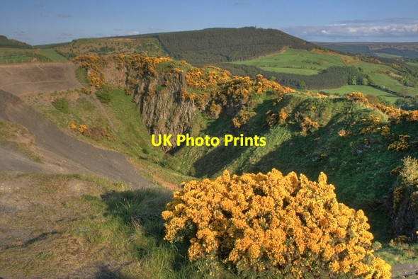 Photo 6"x4" Cliff Rigg Quarry Great Ayton c2008